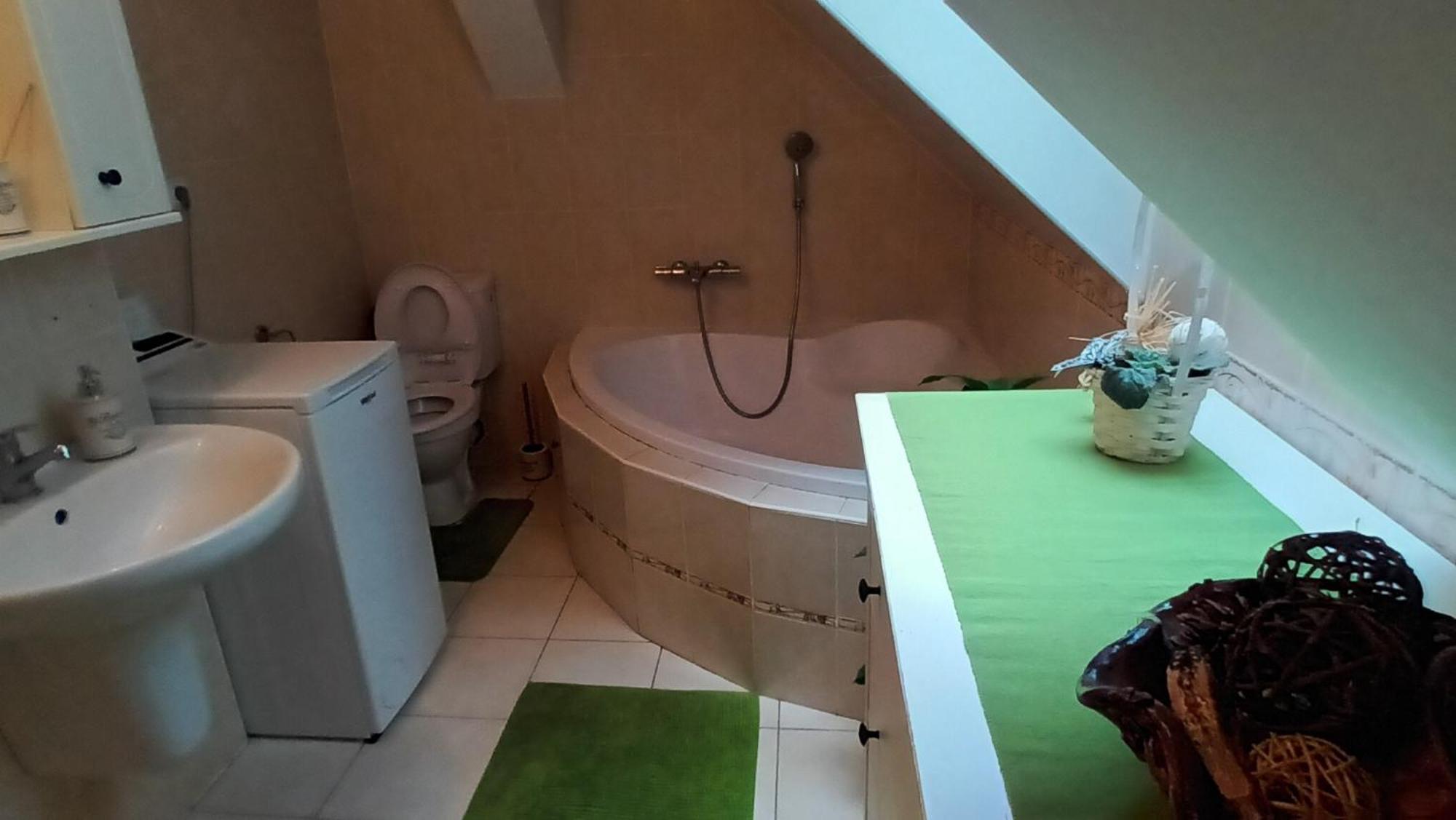 Apartmany Pod Putimskou Branou Písek Kültér fotó